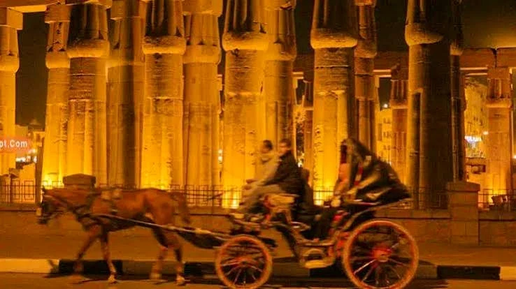 夜のルクソールを走る伝統的な馬車